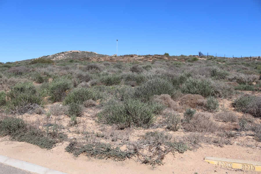 0 Bedroom Property for Sale in Steenbergs Cove Western Cape
